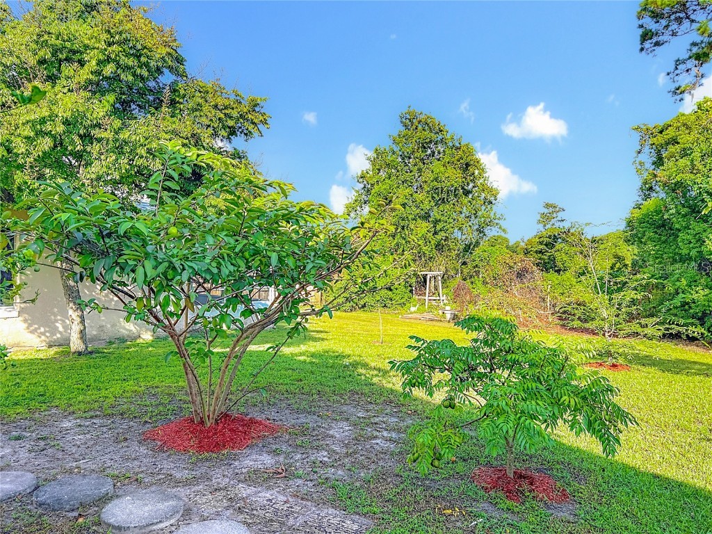 9355 Telfer Run Orlando FL 32817 - LAKE TELFER O6339930 image42