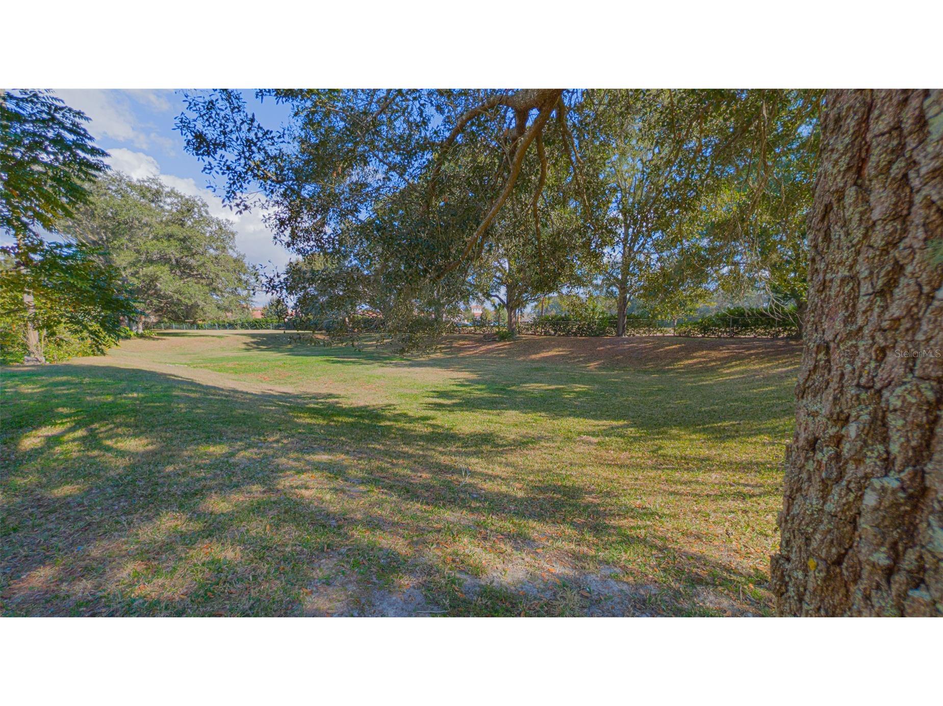 9357 SW 82nd Terrace #C Ocala FL 34481 O6373586 image28