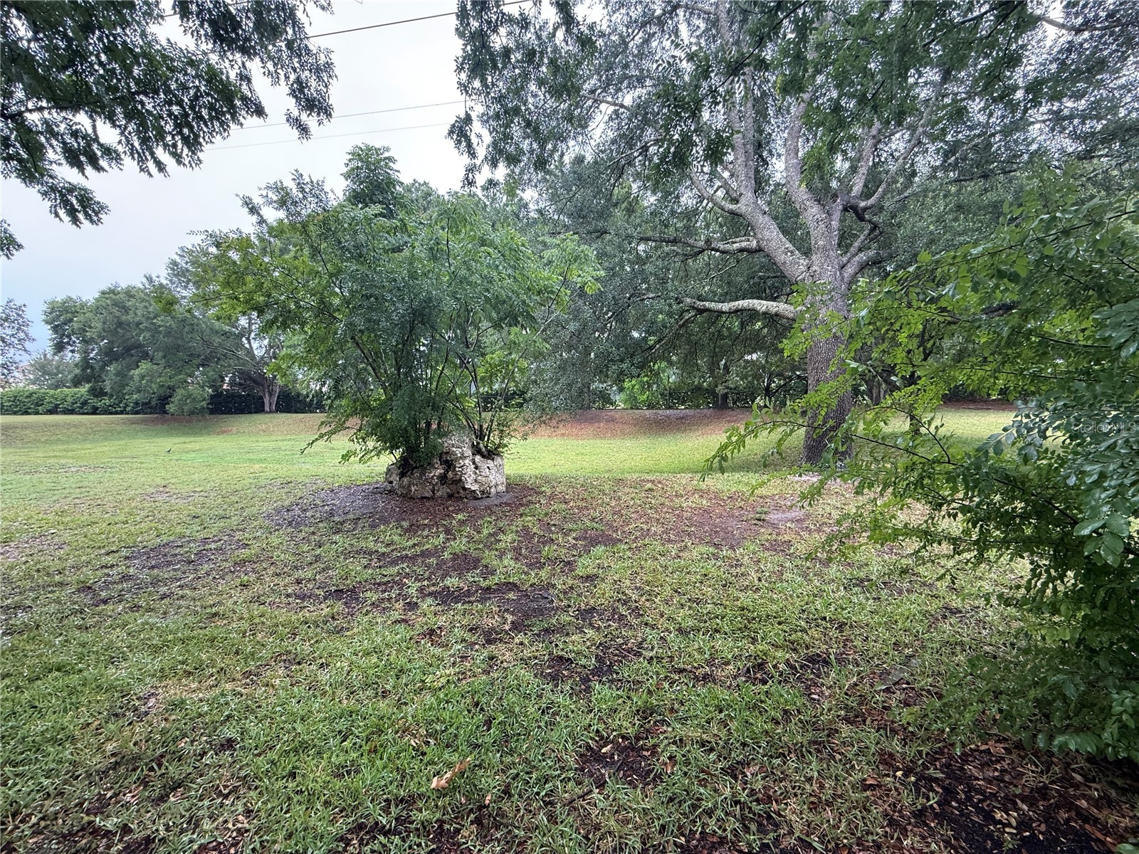 9357 SW 82nd Terrace #C Ocala FL 34481 OM724573 image28