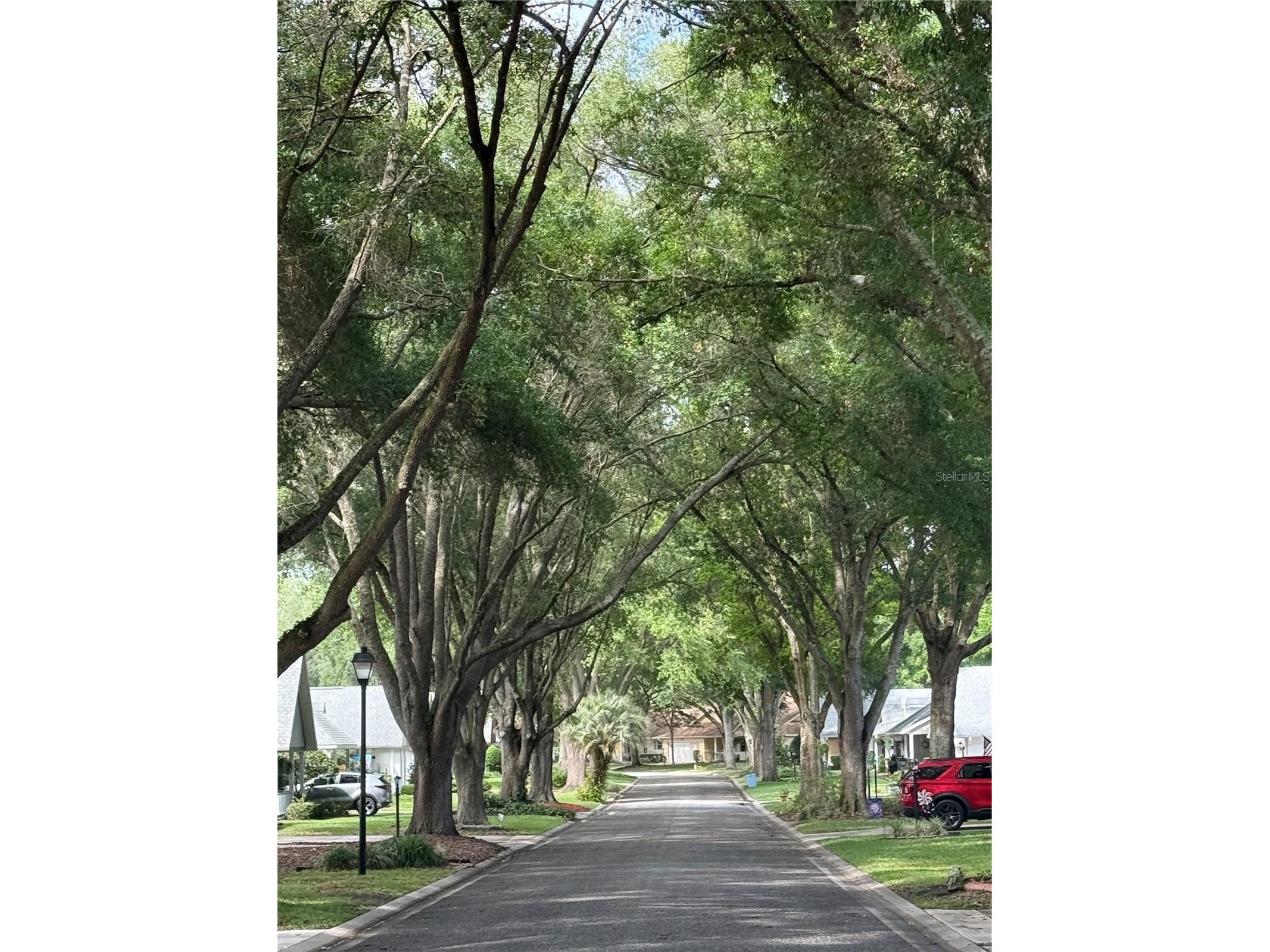 9357 SW 82nd Terrace #C Ocala FL 34481 OM724573 image29