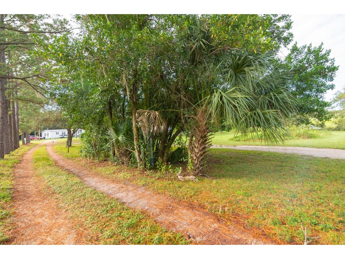 9358 Harney Road Thonotosassa FL 33592 T3421387 image3