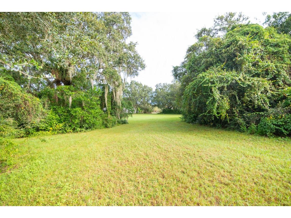 9358 Harney Road Thonotosassa FL 33592 T3421387 image5