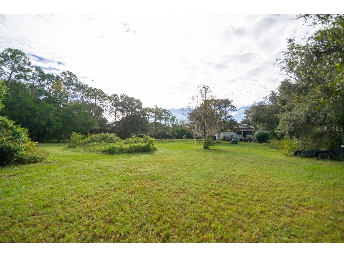9358 Harney Road Thonotosassa FL 33592 T3421387 image6