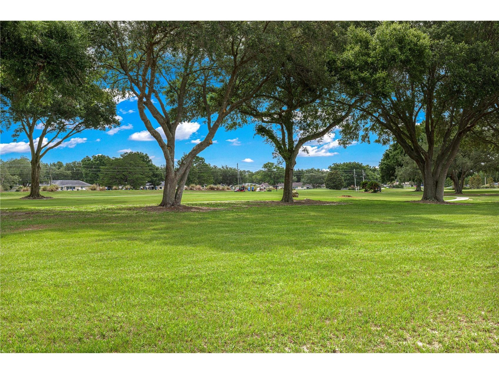 9359 SW 94th Loop Ocala FL 34481 OM726207 image55