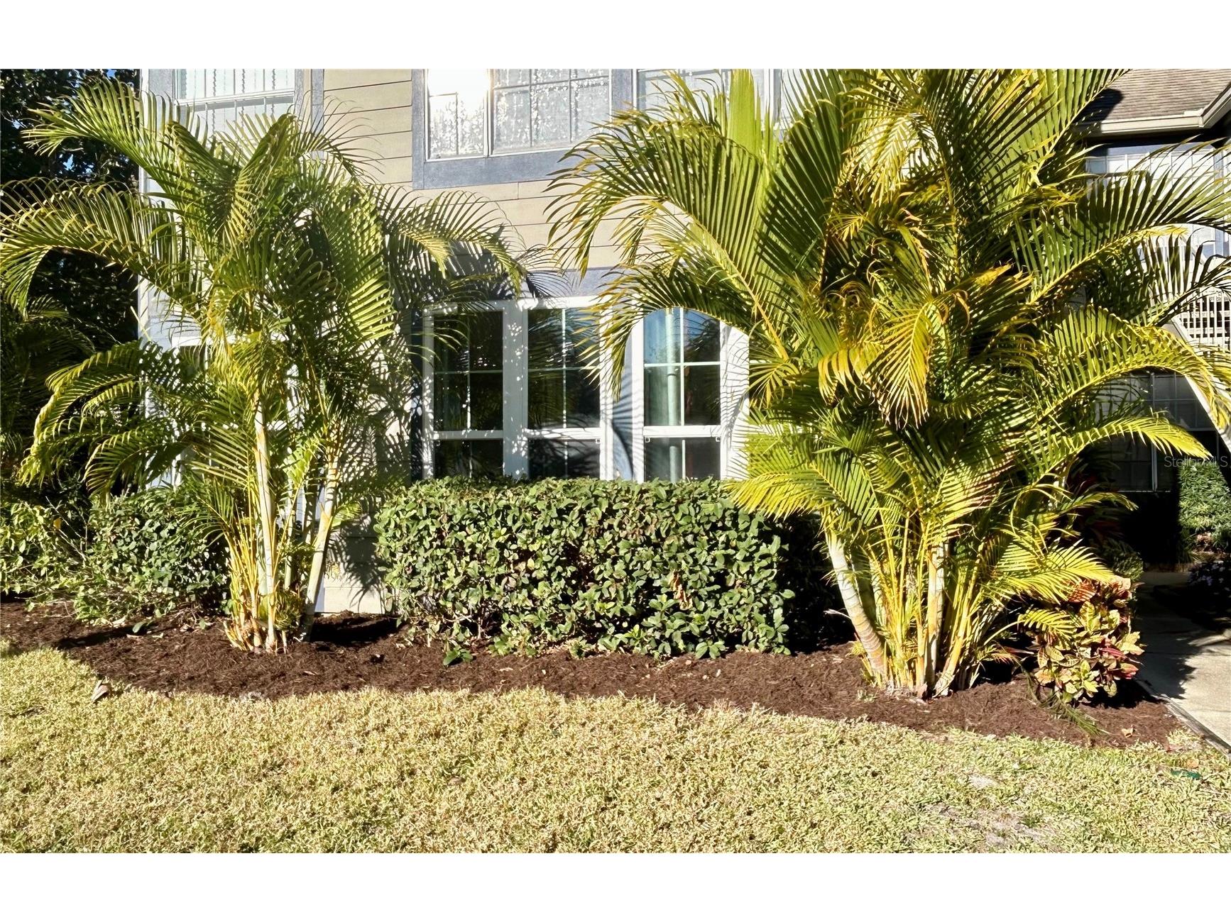 936 Birmingham Court #106 Lake Mary FL 32746 G5107288 image36