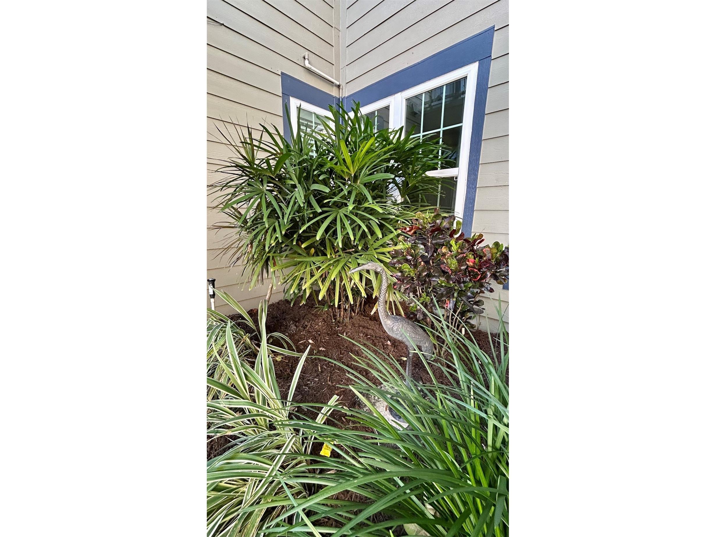 936 Birmingham Court #106 Lake Mary FL 32746 G5107288 image4