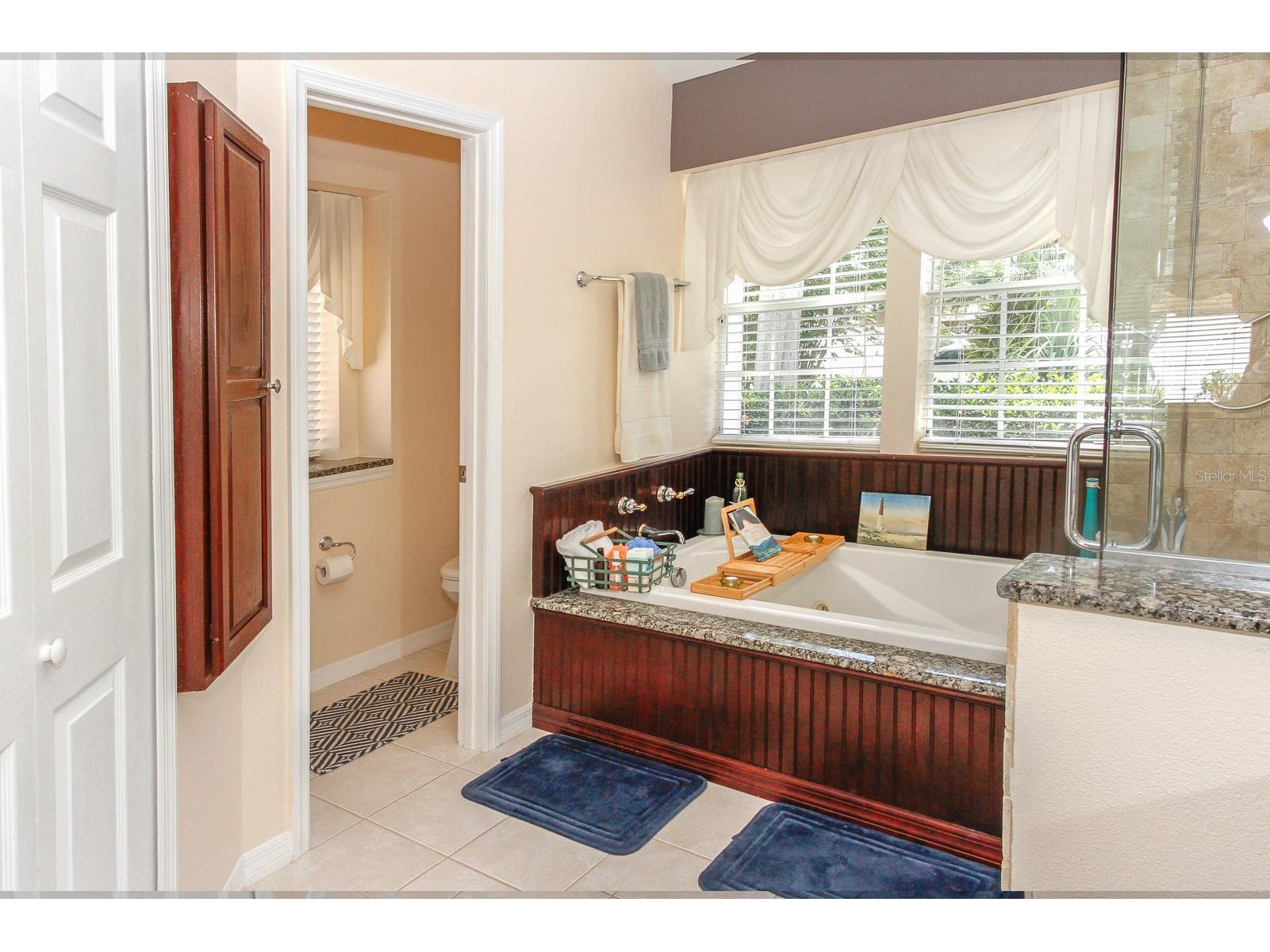936 Galliton Way Palm Harbor FL 34684 TB8511689 image27