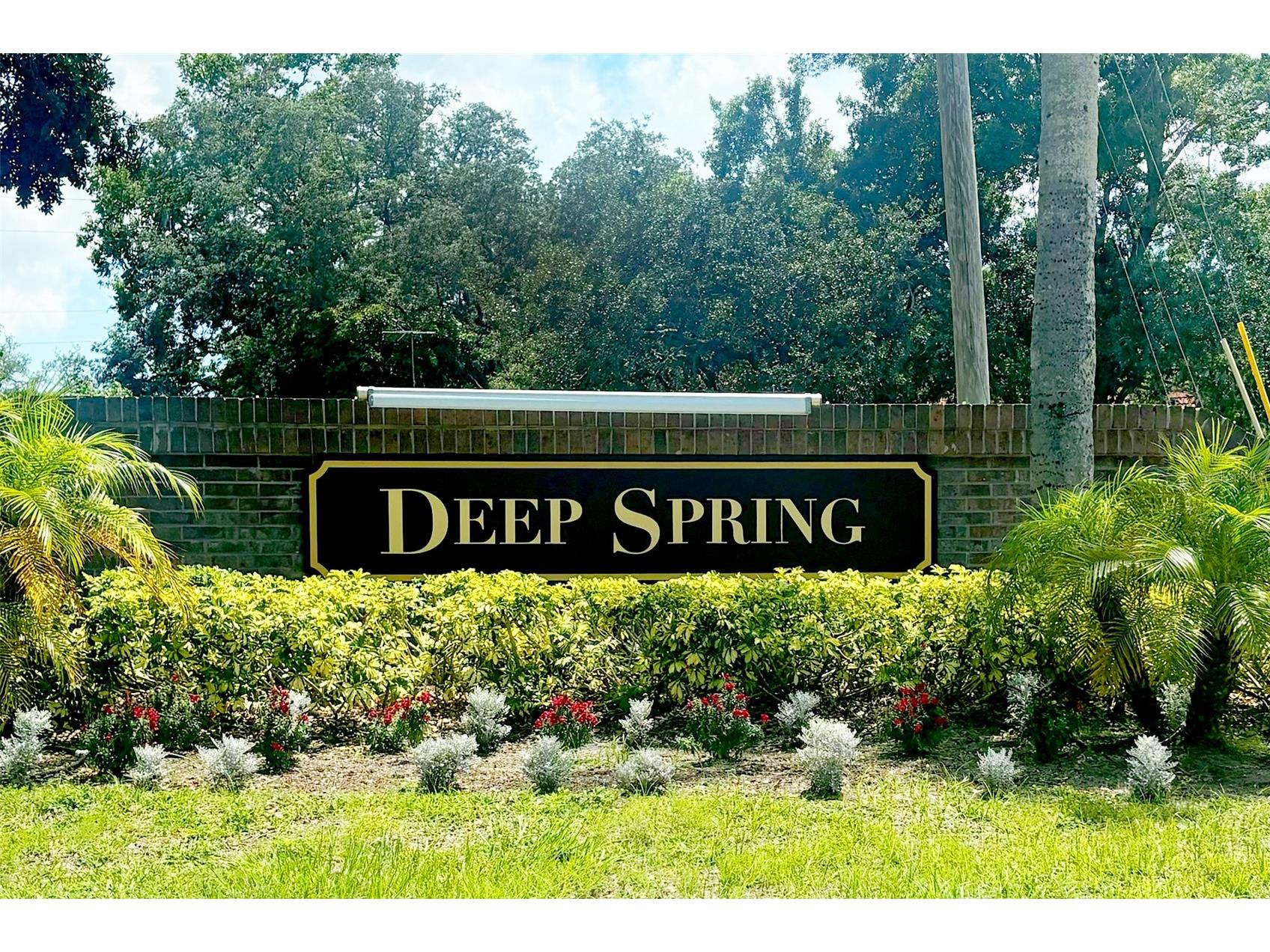 936 Galliton Way Palm Harbor FL 34684 TB8511689 image51