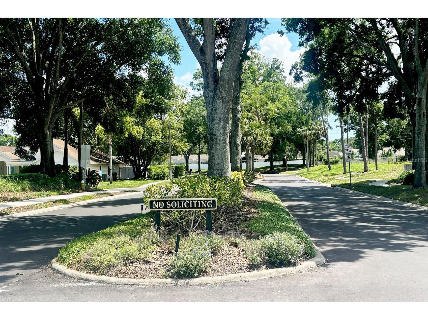 936 Galliton Way Palm Harbor FL 34684 TB8511689 image52
