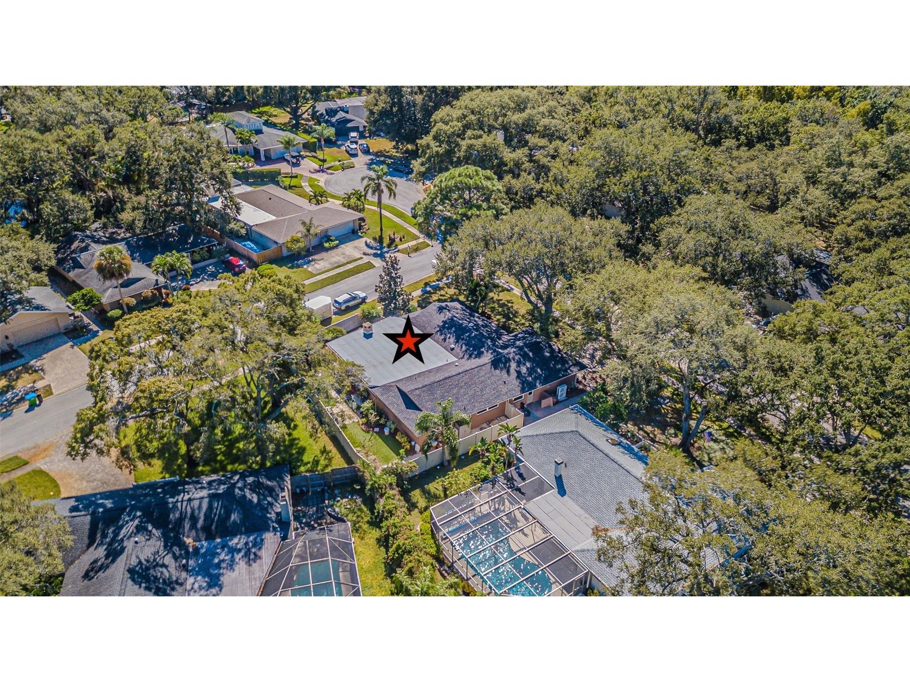 936 Highview Drive Palm Harbor FL 34683 TB8441398 image45