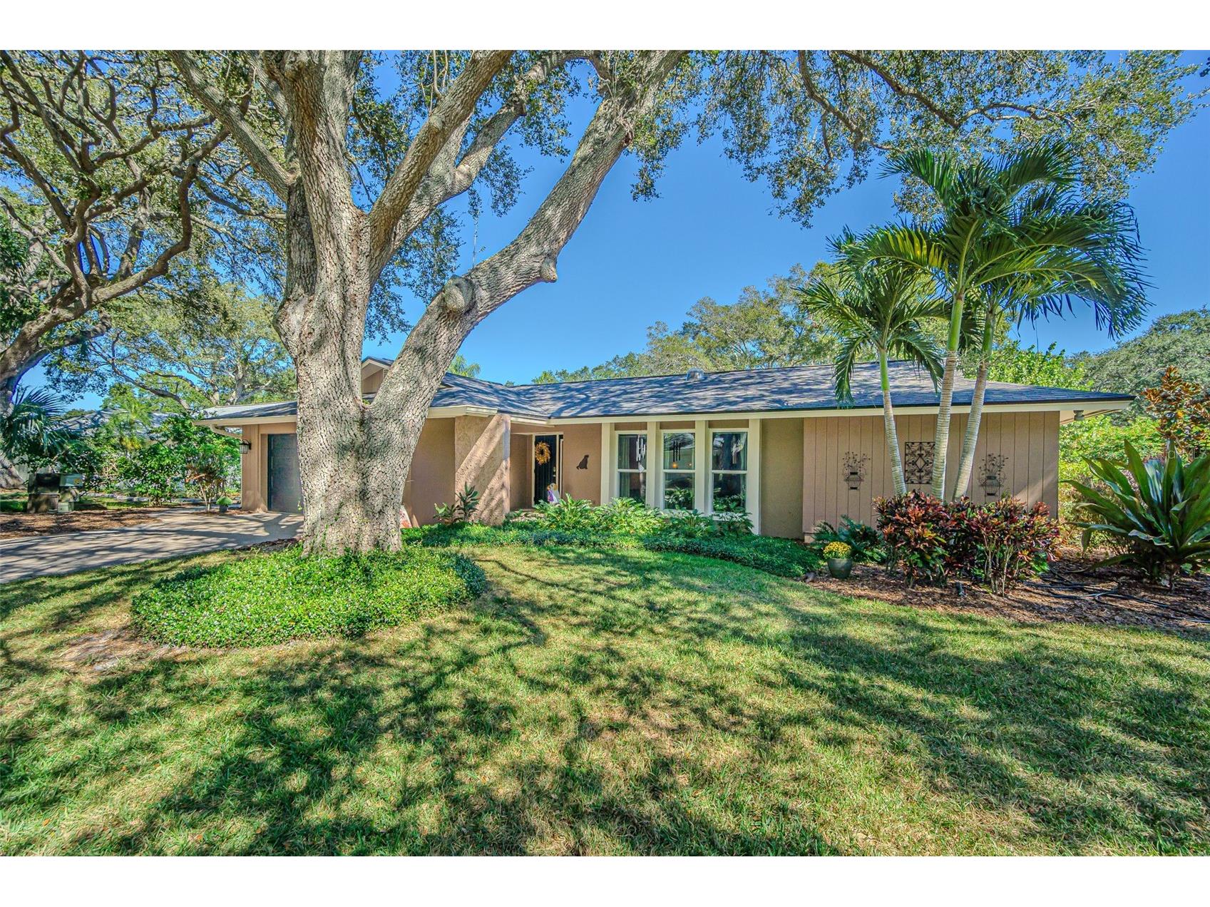 936 Highview Drive Palm Harbor FL 34683 TB8441398 image46