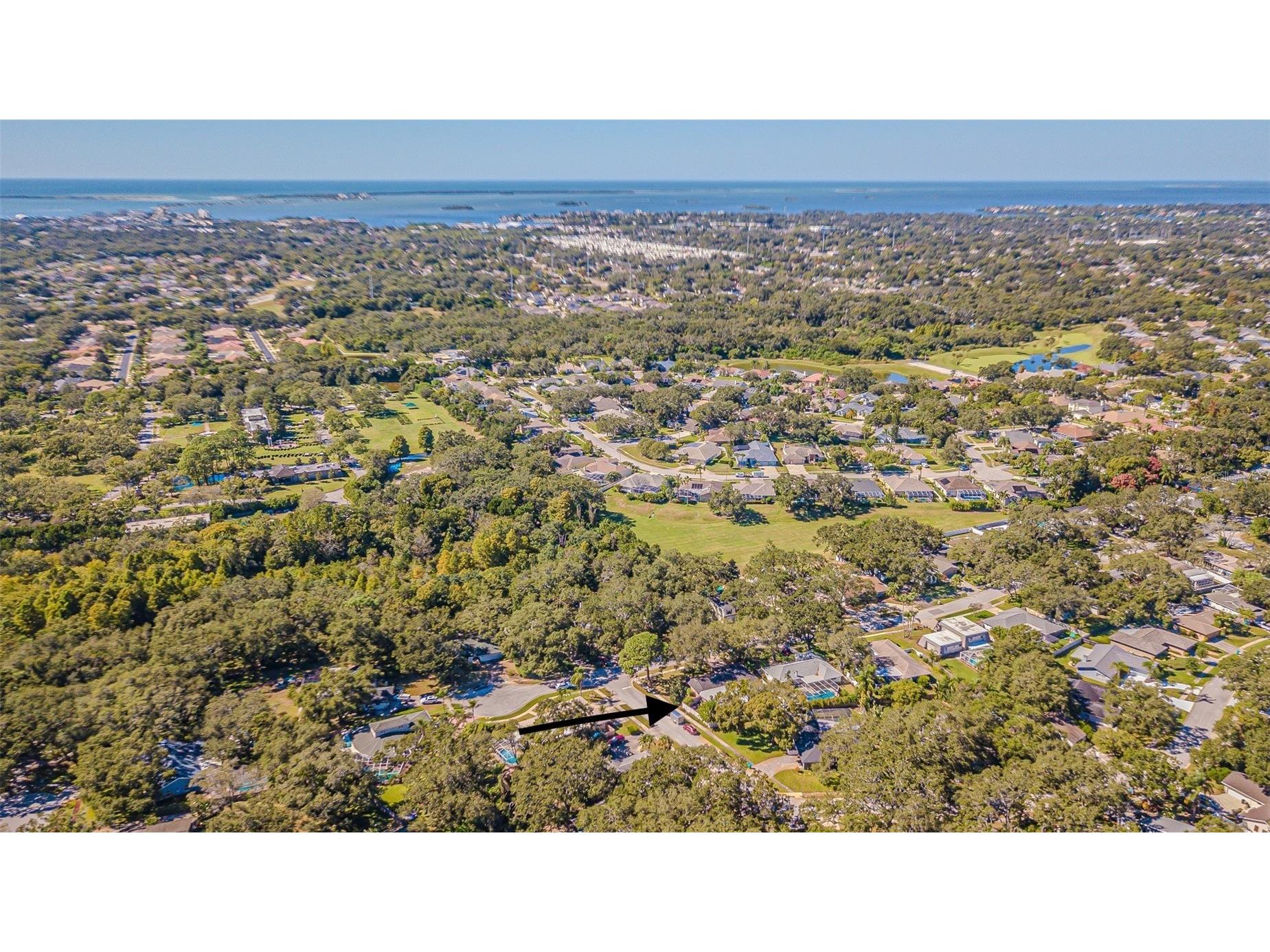 936 Highview Drive Palm Harbor FL 34683 TB8441398 image48