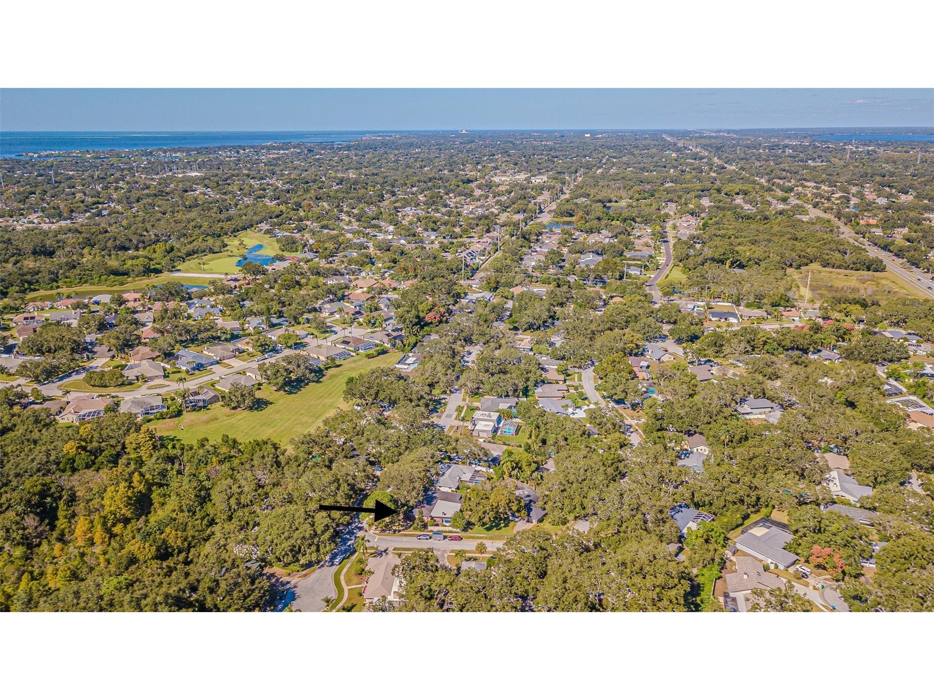 936 Highview Drive Palm Harbor FL 34683 TB8441398 image49