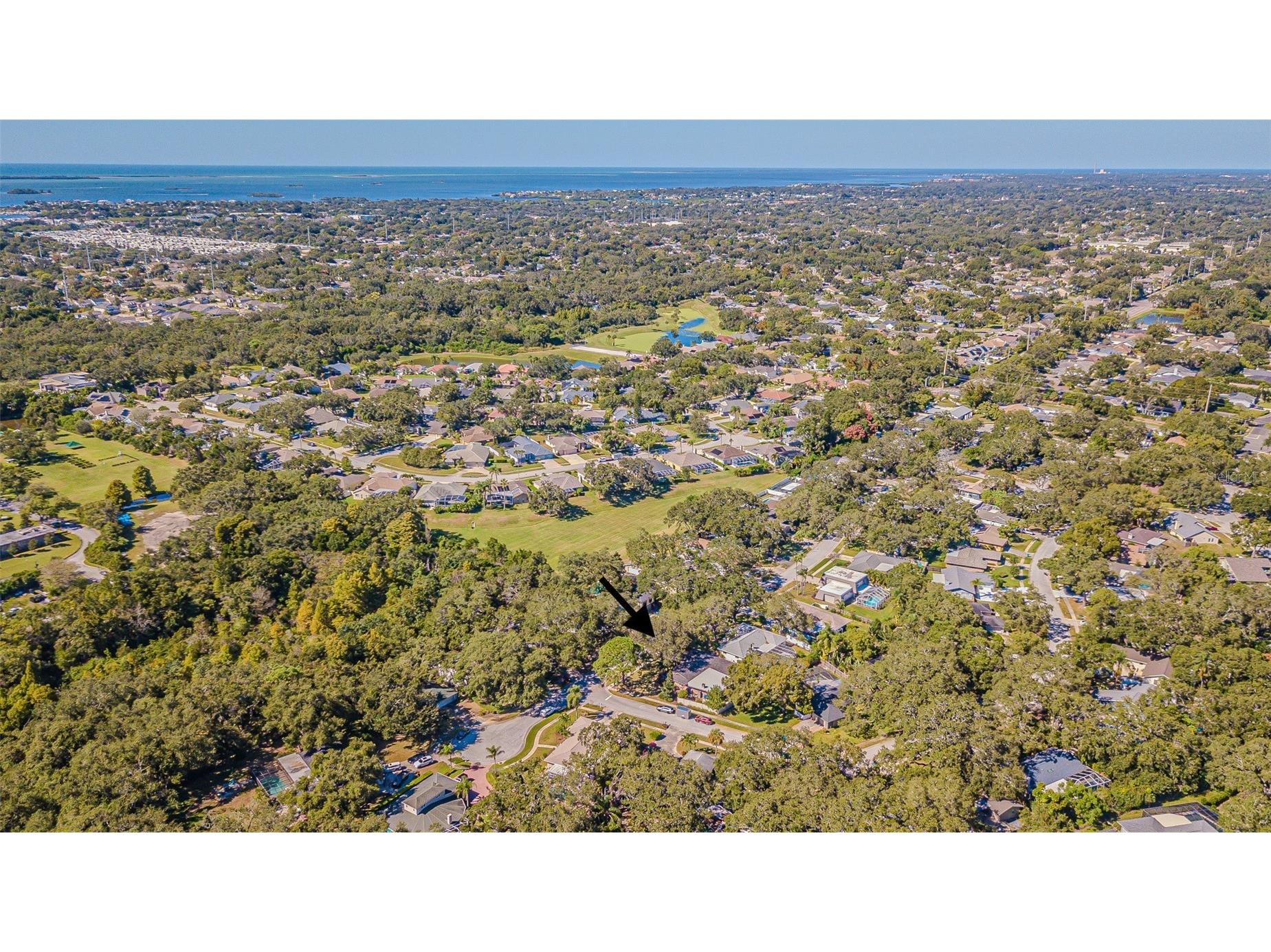 936 Highview Drive Palm Harbor FL 34683 TB8441398 image50