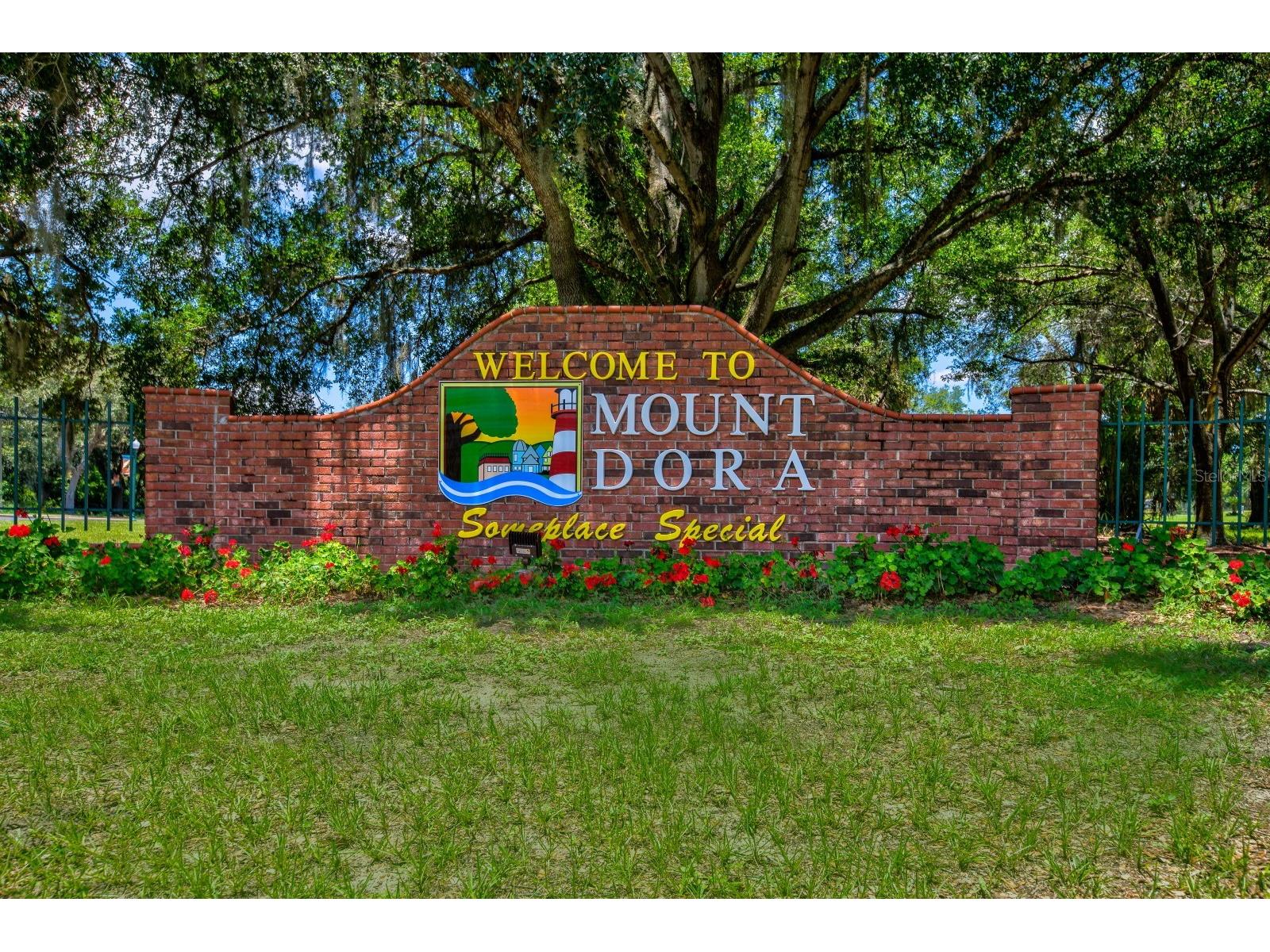 936 N Baker Street Mount Dora FL 32757 G5106335 image61