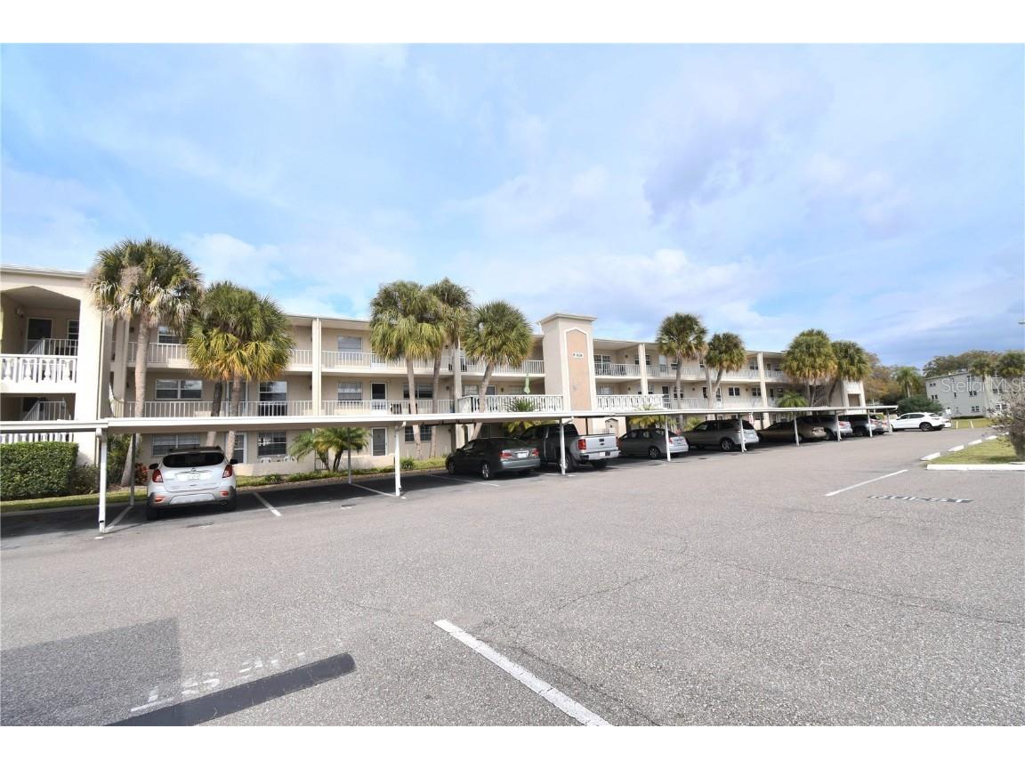 936 Virginia Street #102 Dunedin FL 34698 U8231702 image1