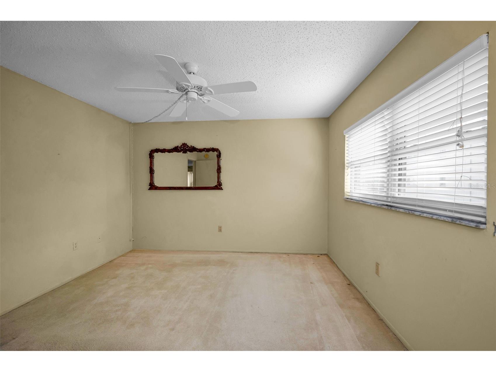 936 Virginia Street #201 Dunedin FL 34698 TB8504062 image19
