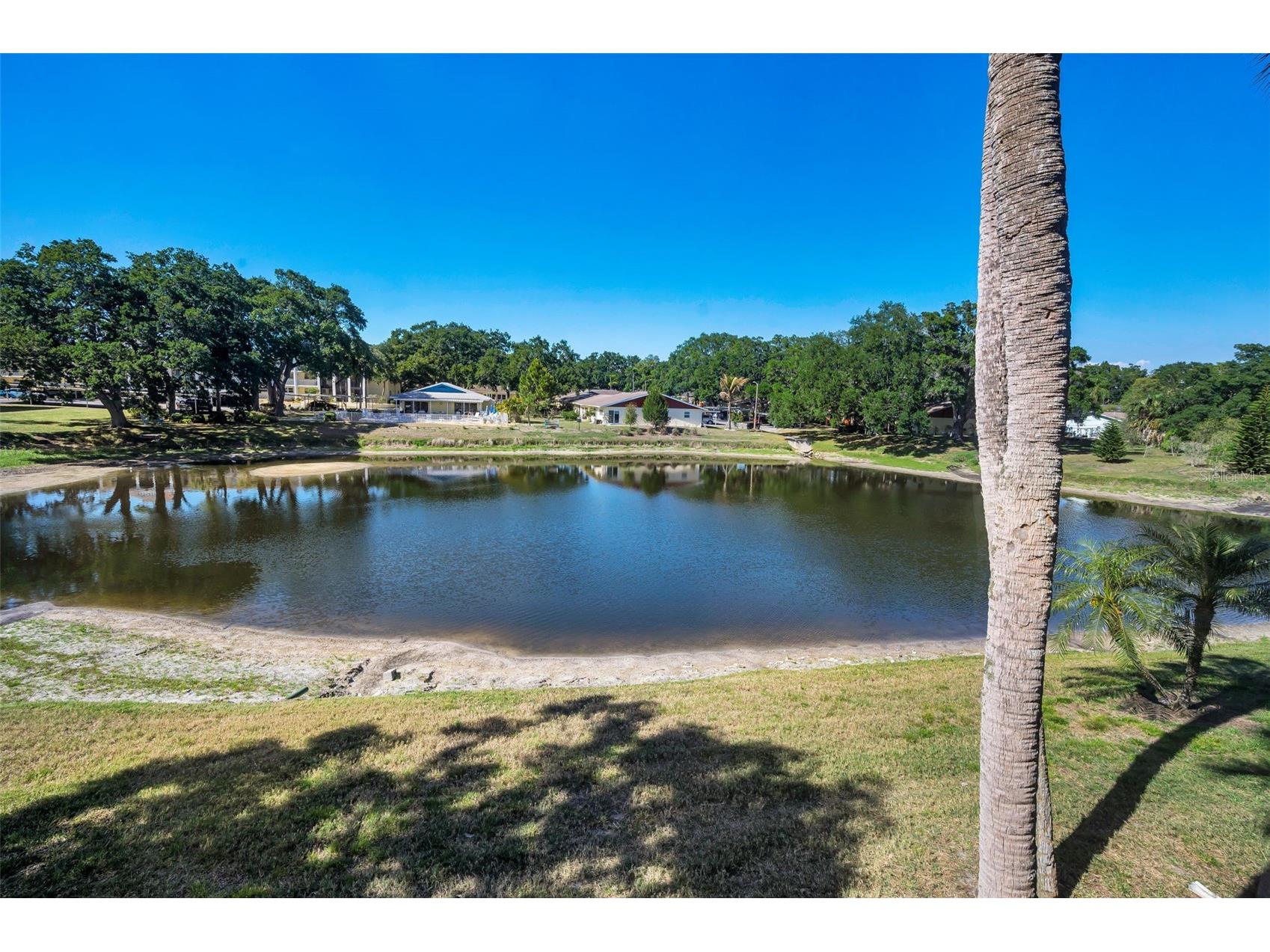 936 Virginia Street #201 Dunedin FL 34698 TB8504062 image23
