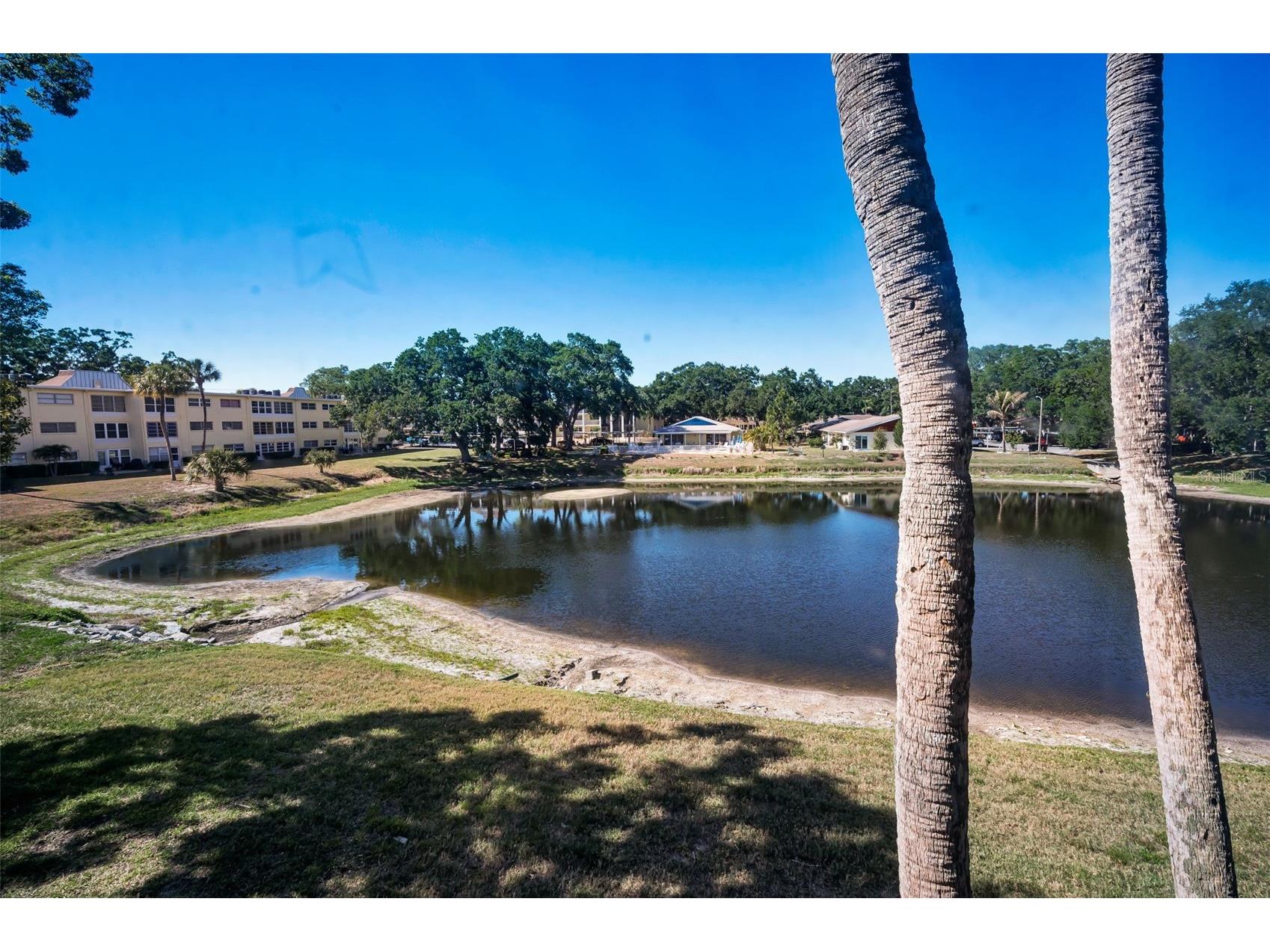 936 Virginia Street #201 Dunedin FL 34698 TB8504062 image24