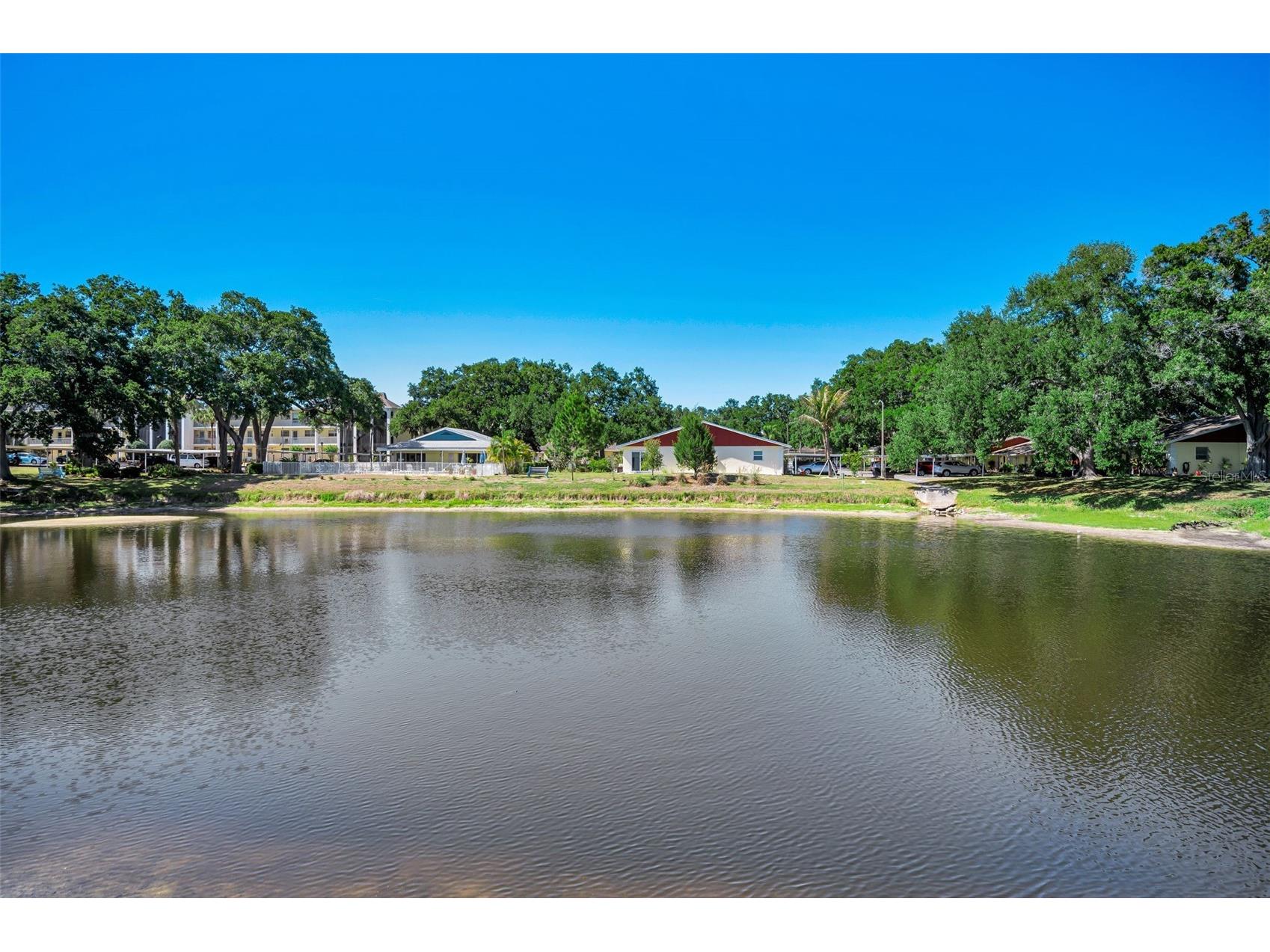 936 Virginia Street #201 Dunedin FL 34698 TB8504062 image26