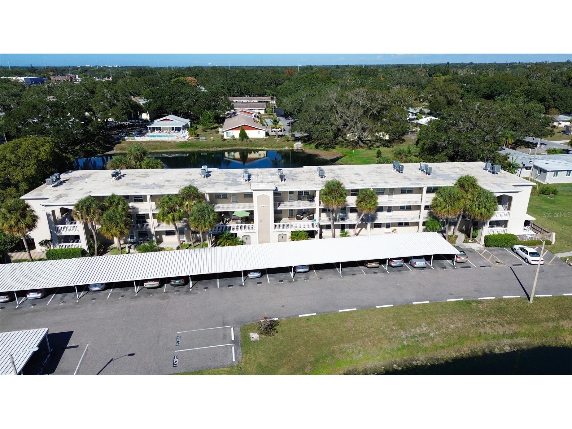 936 Virginia Street #206 Dunedin FL 34698 TB8499199 image1