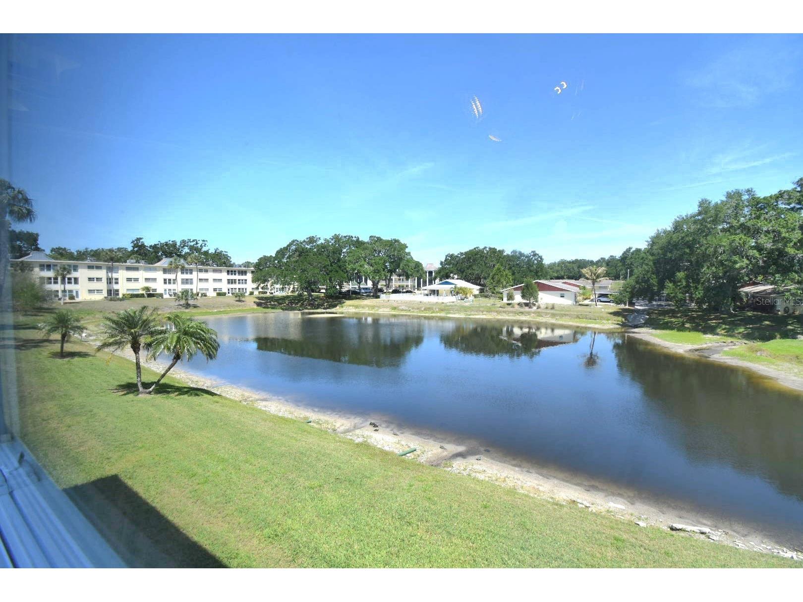 936 Virginia Street #206 Dunedin FL 34698 TB8499199 image10