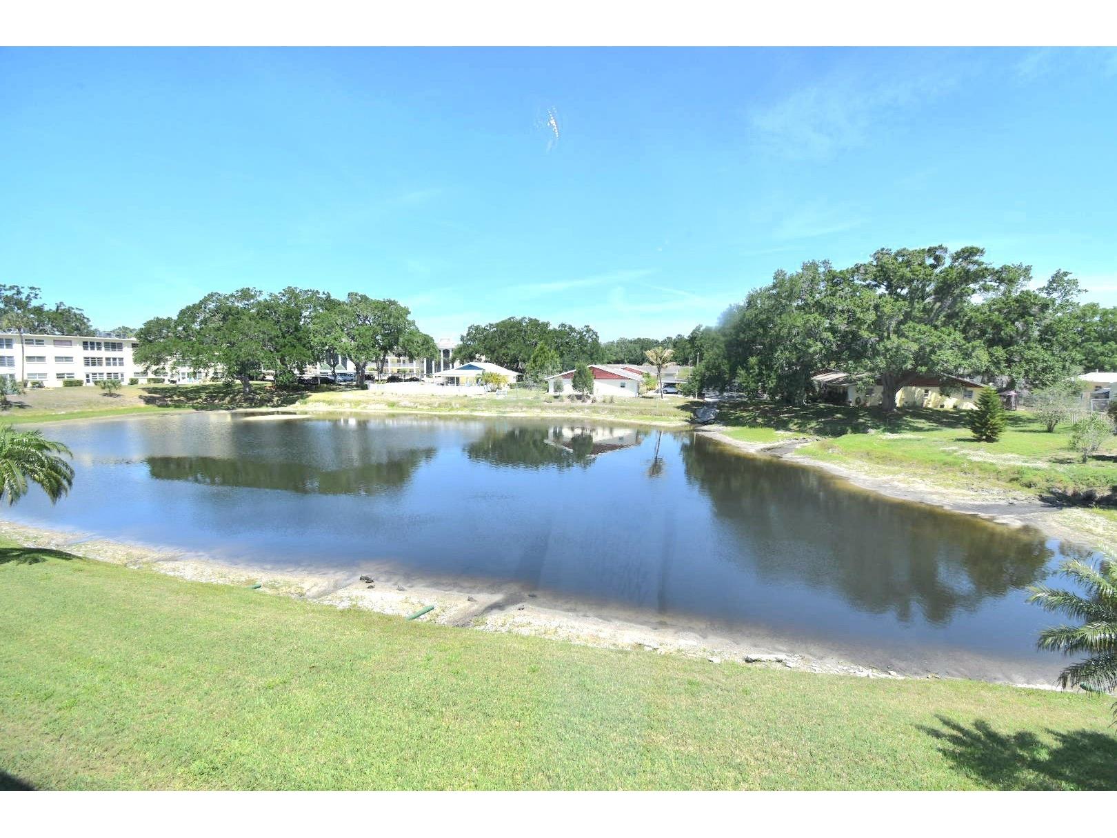 936 Virginia Street #206 Dunedin FL 34698 TB8499199 image11