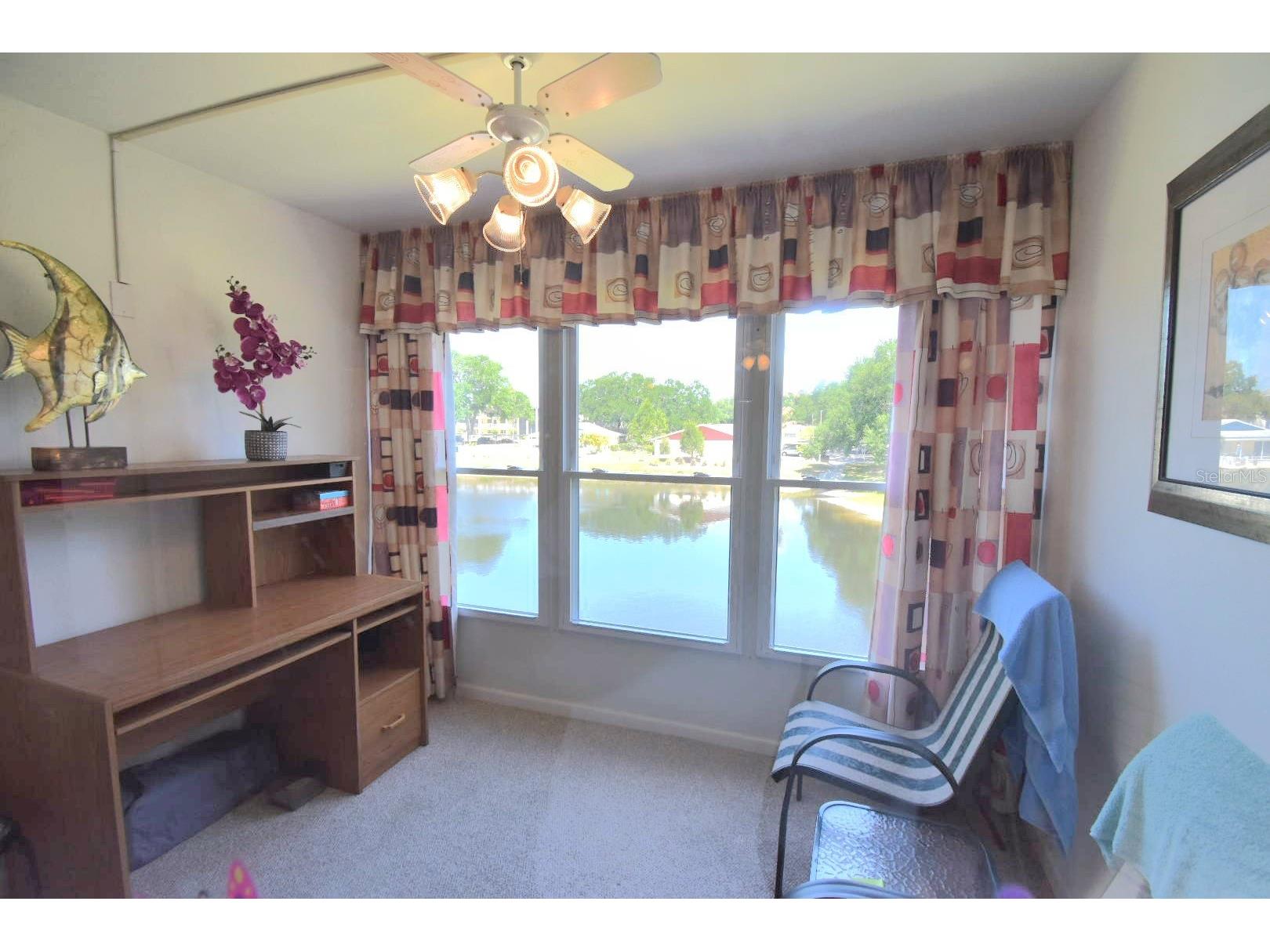 936 Virginia Street #206 Dunedin FL 34698 TB8499199 image14