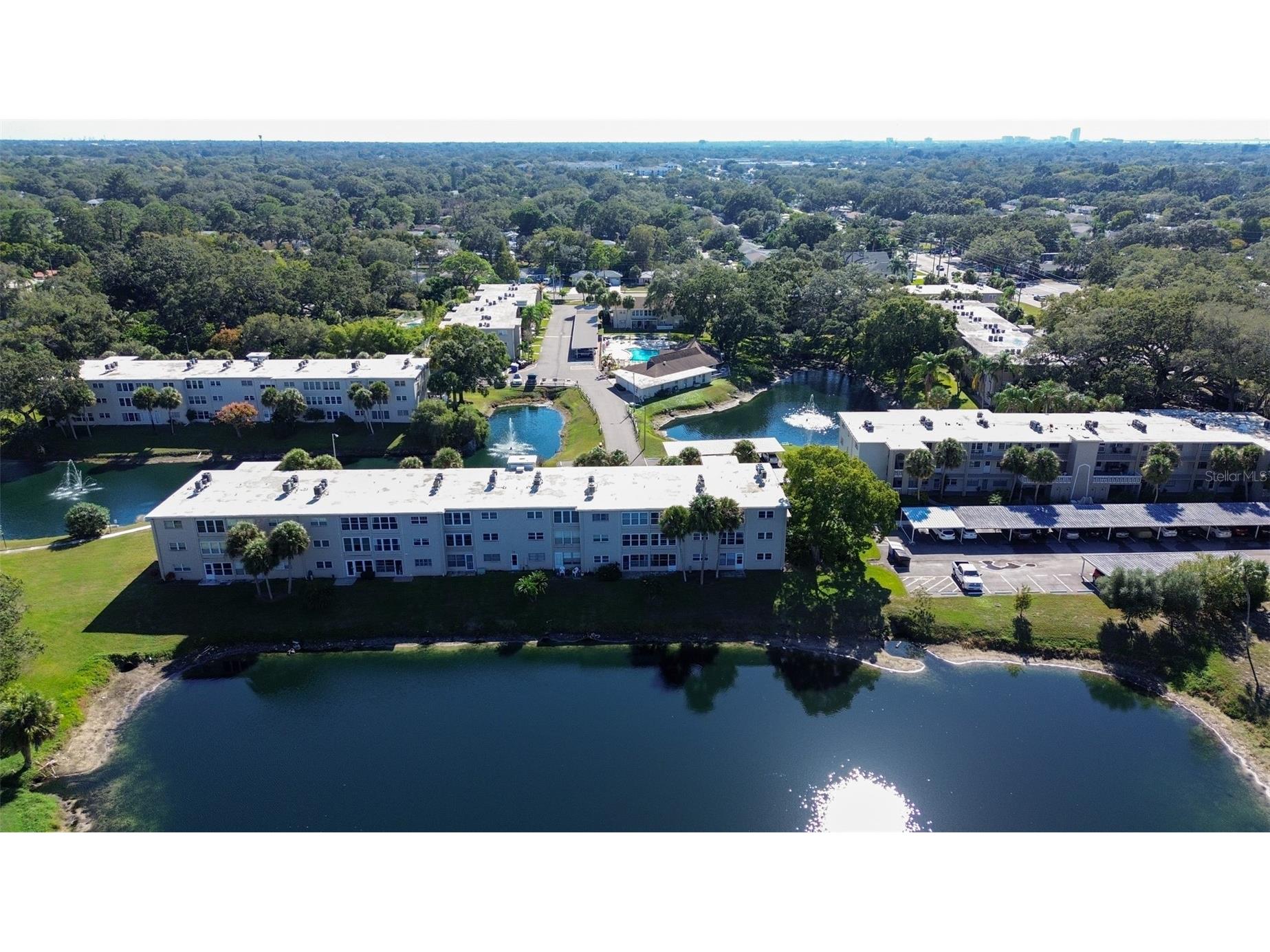 936 Virginia Street #206 Dunedin FL 34698 TB8499199 image2