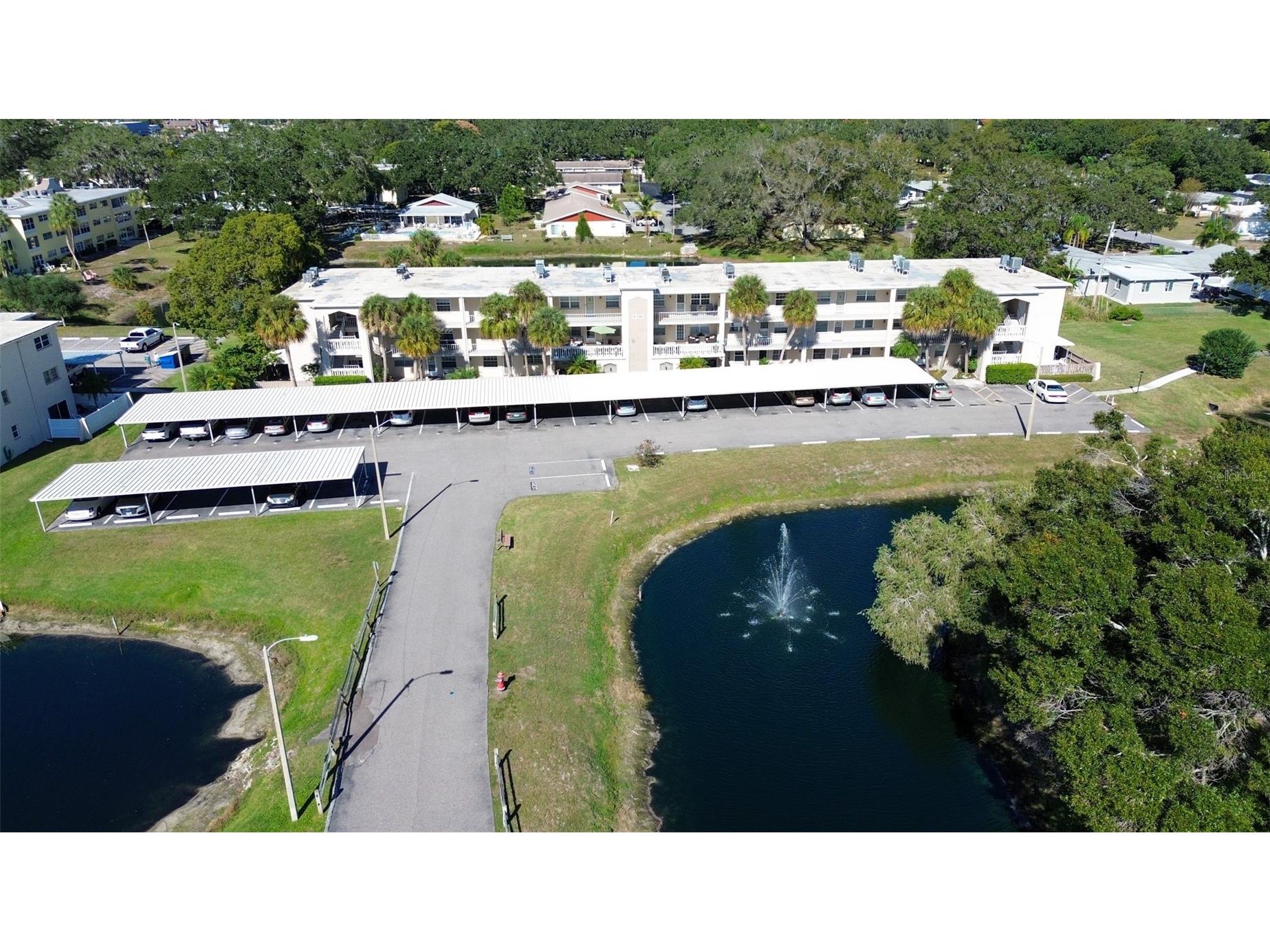 936 Virginia Street #206 Dunedin FL 34698 TB8499199 image22