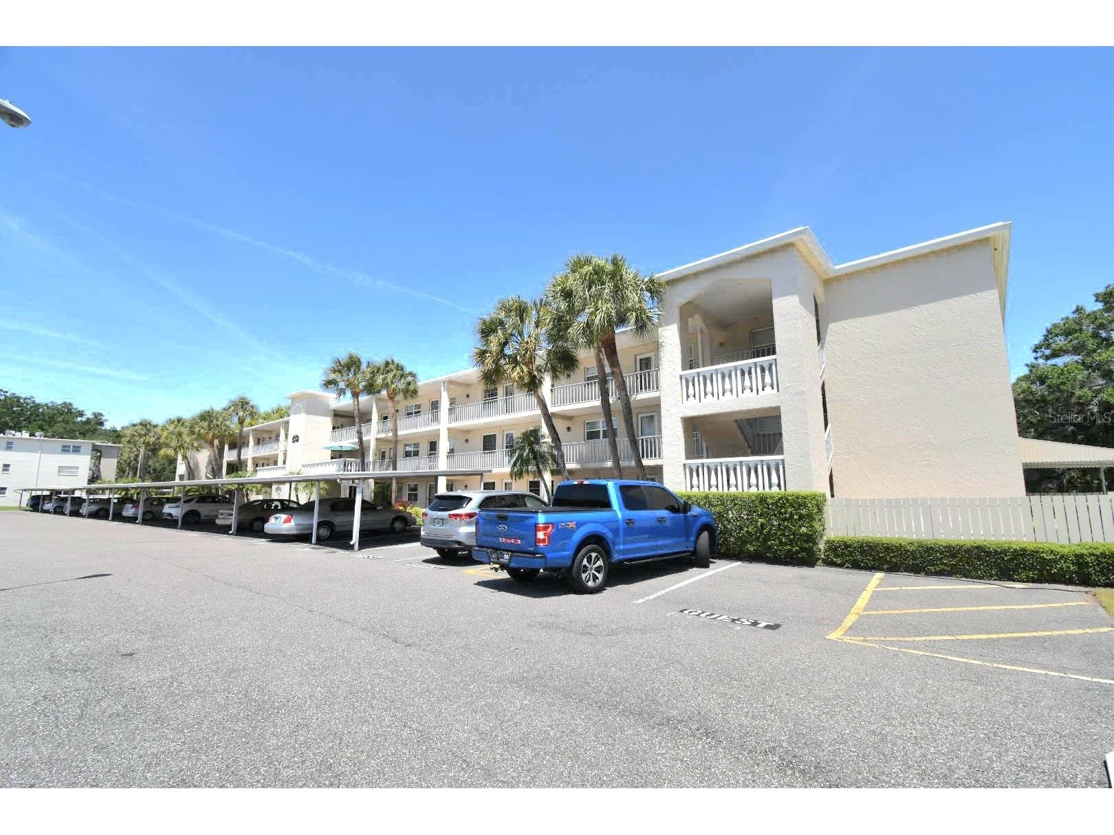936 Virginia Street #206 Dunedin FL 34698 TB8499199 image3