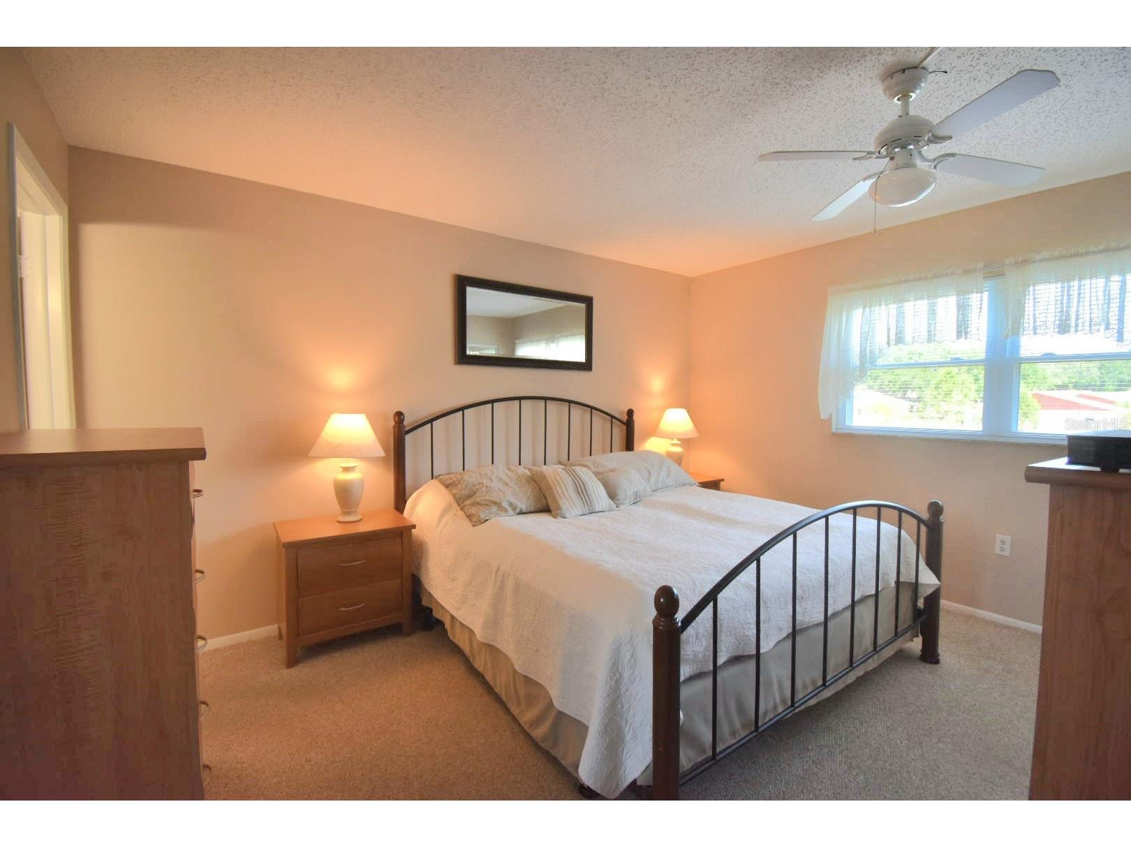 936 Virginia Street #206 Dunedin FL 34698 TB8499199 image9