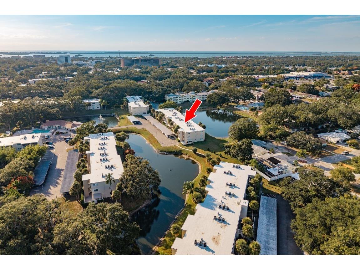 936 Virginia Street #208 Dunedin FL 34698 TB8441381 image1