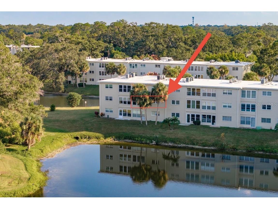 936 Virginia Street #208 Dunedin FL 34698 TB8441381 image15