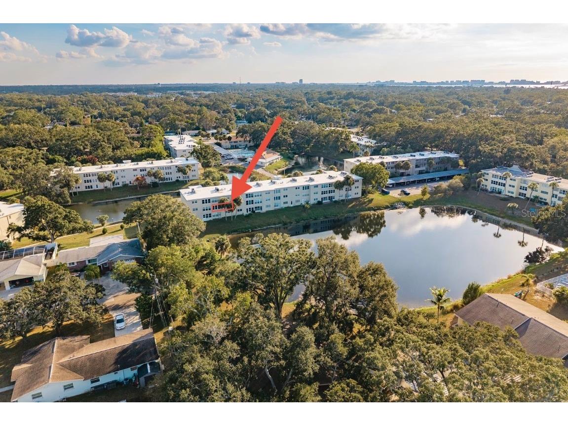 936 Virginia Street #208 Dunedin FL 34698 TB8441381 image16