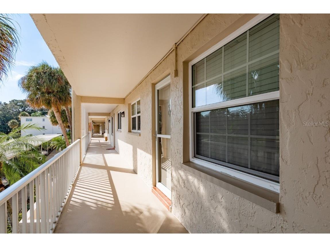 936 Virginia Street #208 Dunedin FL 34698 TB8441381 image3