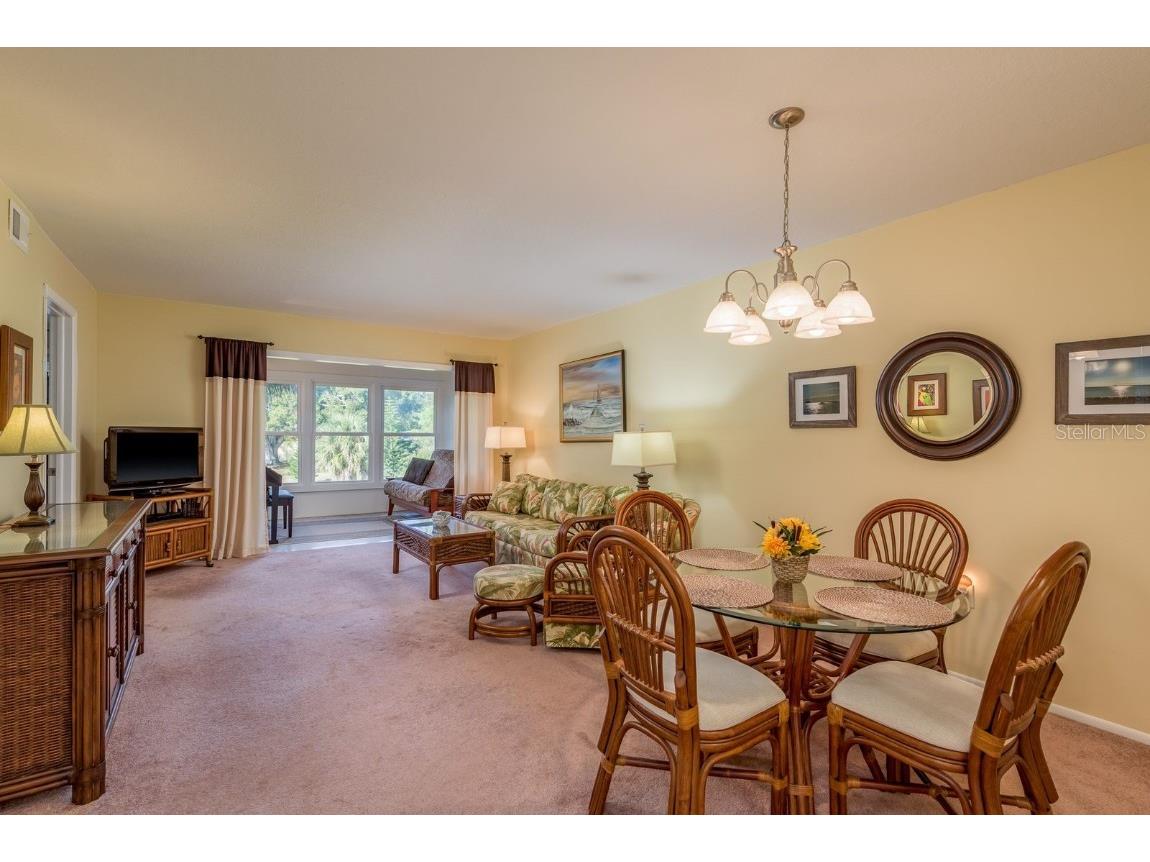 936 Virginia Street #208 Dunedin FL 34698 TB8441381 image6