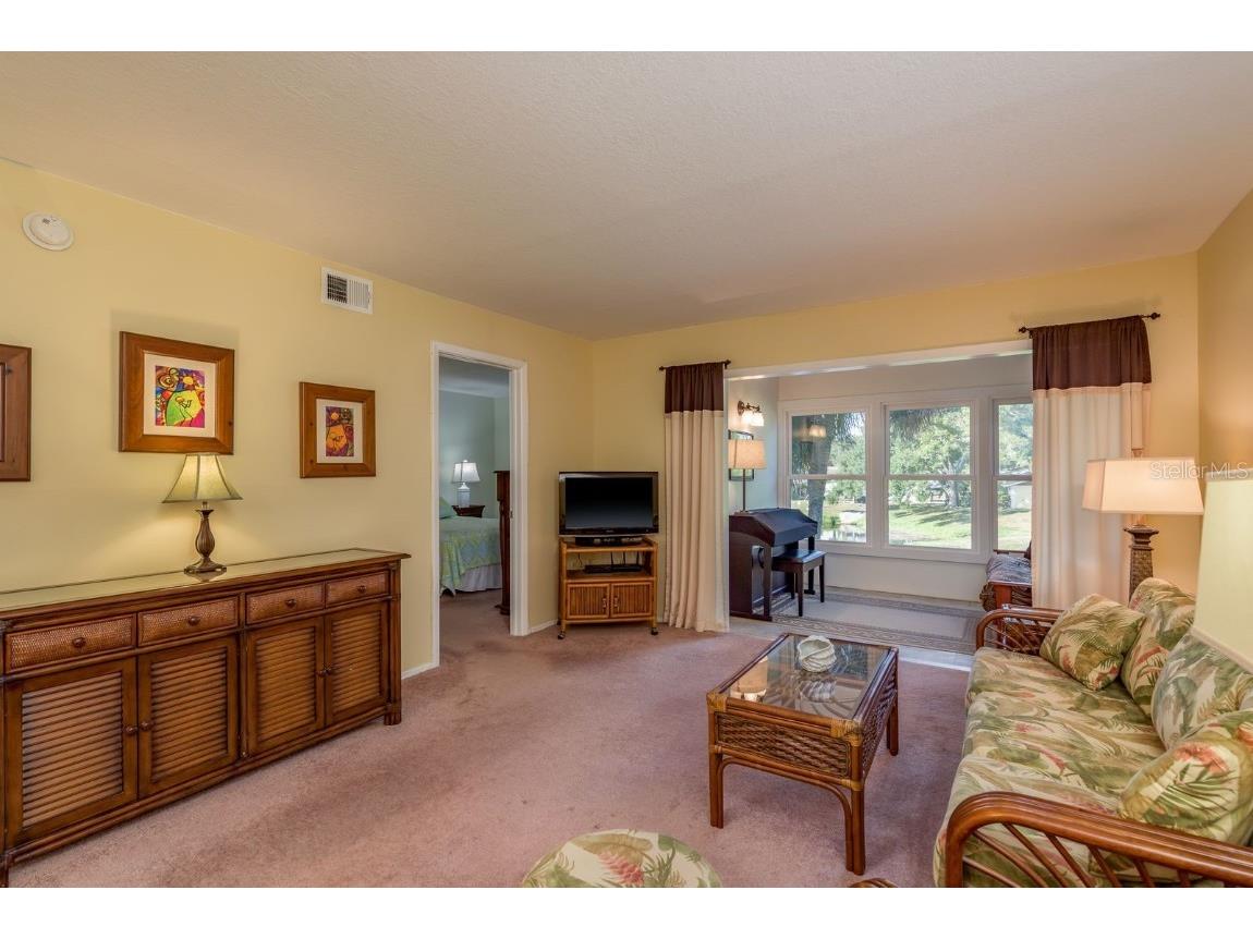 936 Virginia Street #208 Dunedin FL 34698 TB8441381 image7