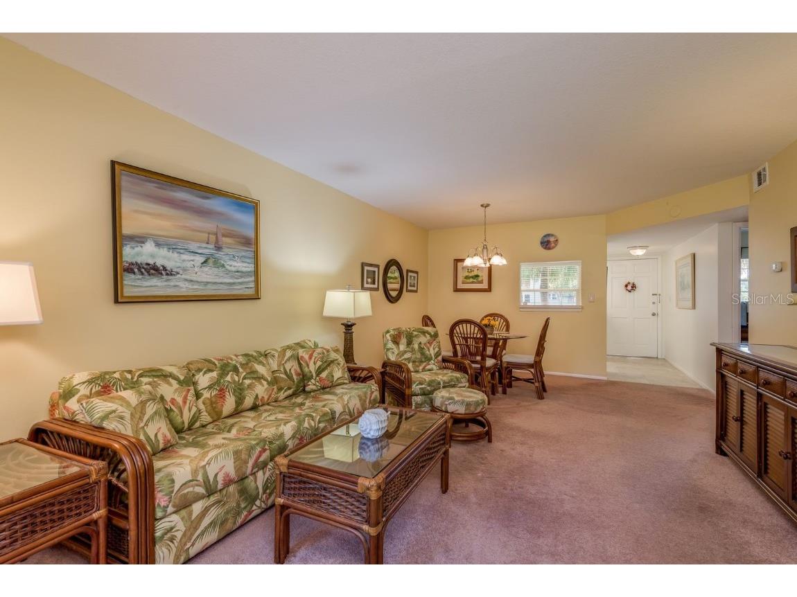 936 Virginia Street #208 Dunedin FL 34698 TB8441381 image8