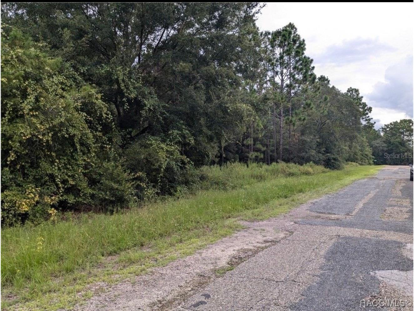 9360 N Dallas Way Citrus Springs FL 34434 O6397204 image2