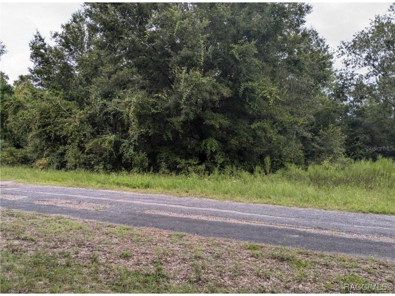 9360 N Dallas Way Citrus Springs FL 34434 O6397204 image3