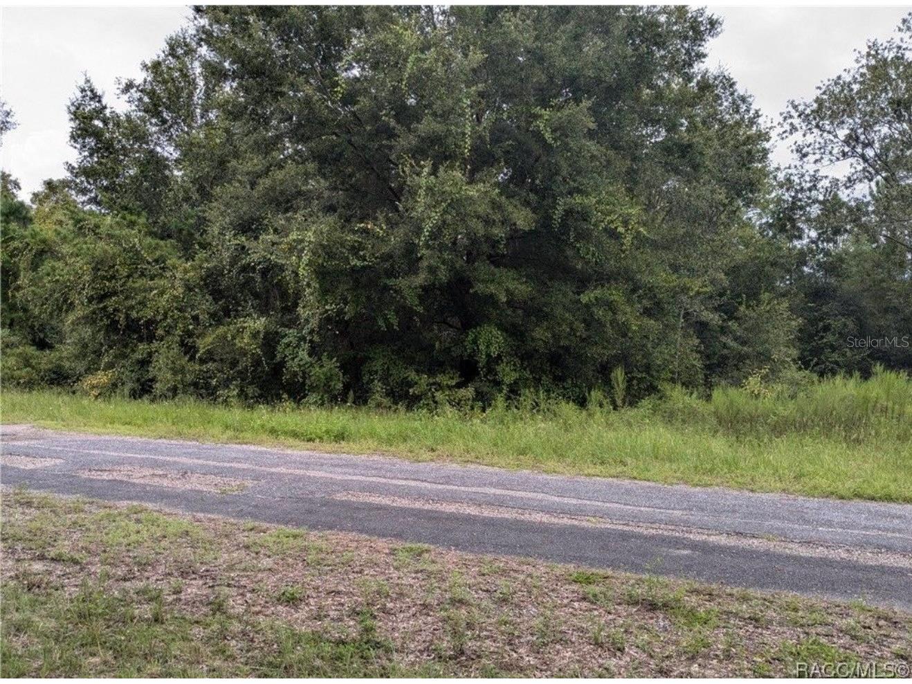 9360 N Dallas Way Citrus Springs FL 34434 O6397204 image4