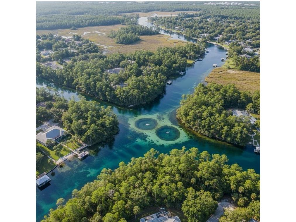 9360 N Ulysses Way Crystal River FL 34428 A4697865 image9