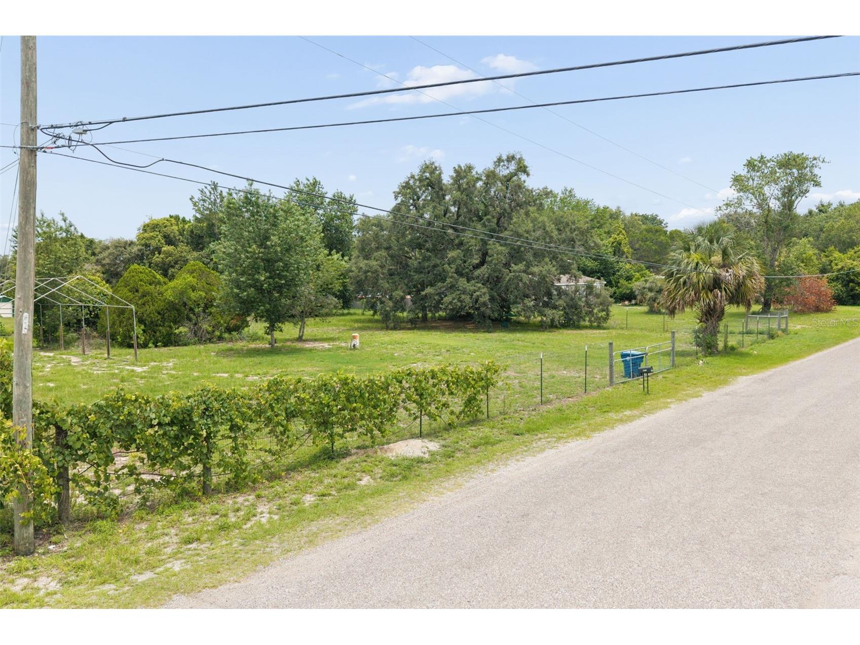 9361 Orchard Way Spring Hill FL 34608 W7886190 image12