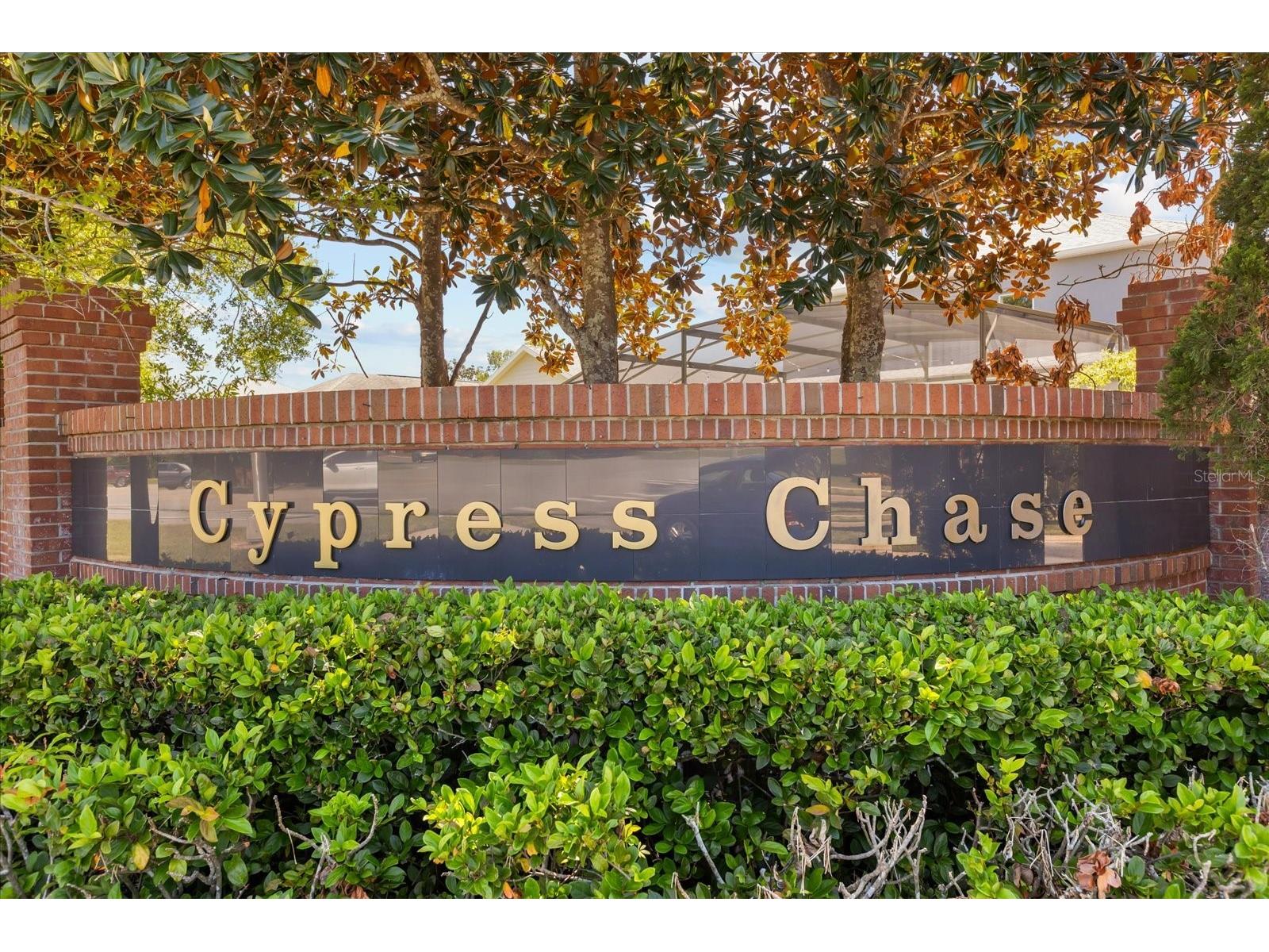 9361 Pecky Cypress Way Orlando FL 32836 O6398454 image47