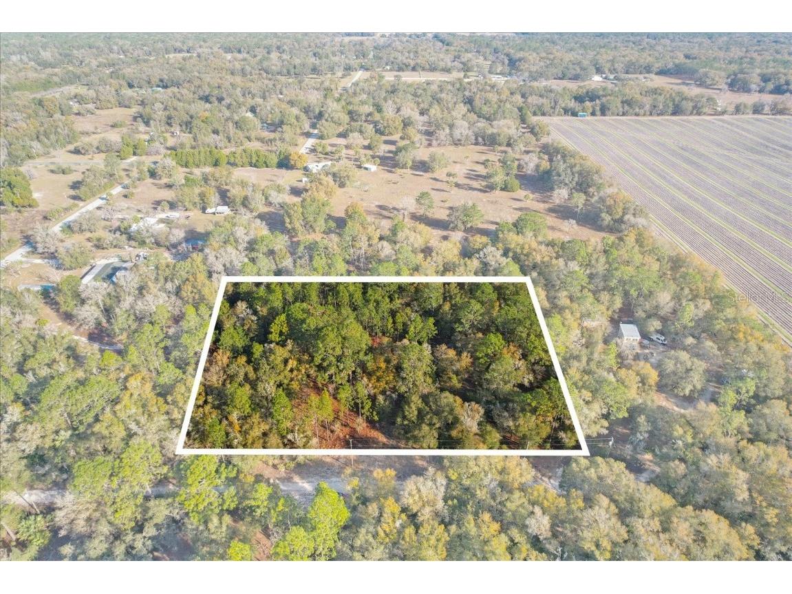 9361 W Blue Stone Court Crystal River FL 34428 T3504936 image1