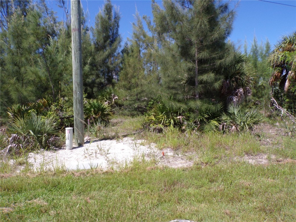 9365 St Paul Drive Port Charlotte FL 33981 - STEVEN POINT WATERWAY C7514933 image9