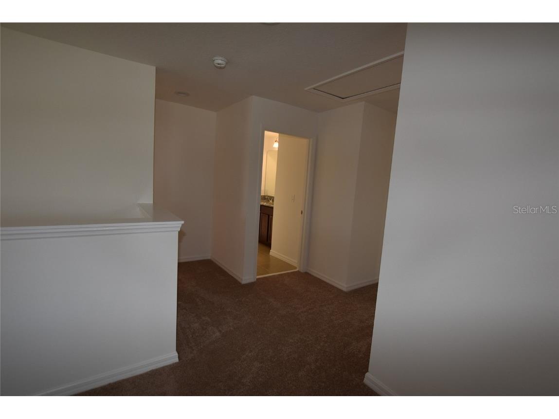 9365 St Therese Street Groveland FL 34736 O6308219 image17