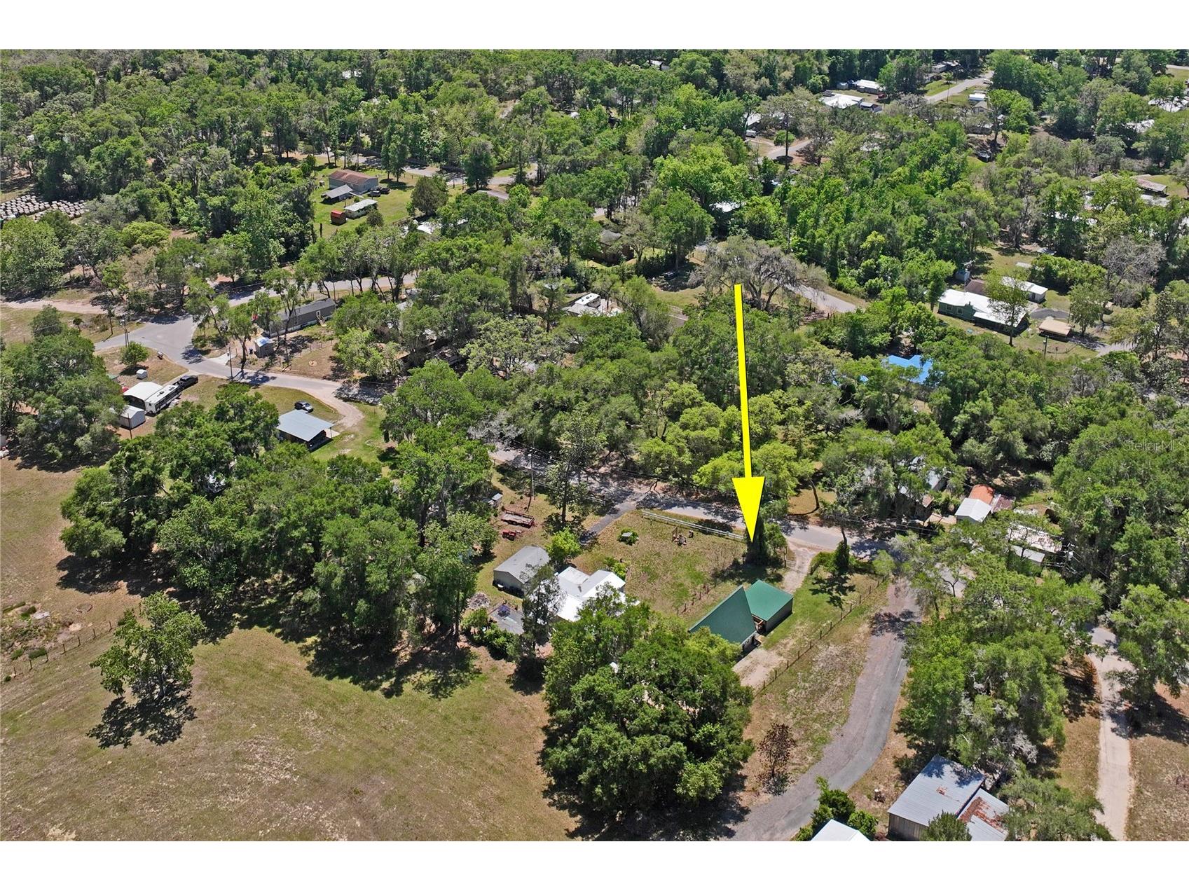 9366 Cr 649 Bushnell FL 33513 TB8527975 image26