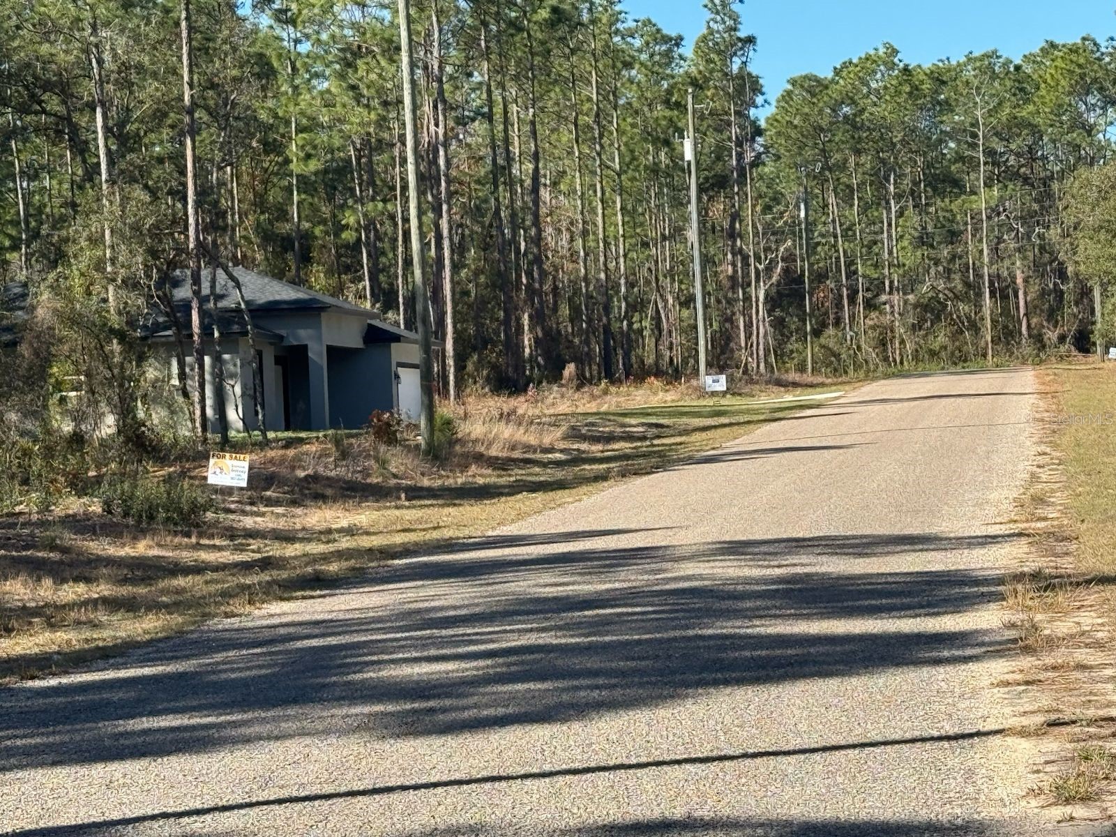 9367 N Fairy Lilly Drive Citrus Springs FL 34433 O6384114 image1